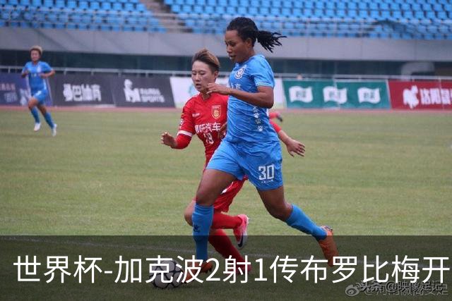世界杯-加克波2射1传布罗比梅开二度 荷兰5-1大胜瑞典