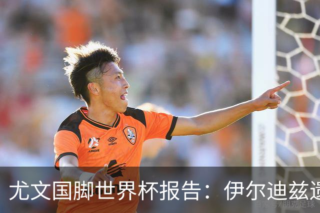 尤文国脚世界杯报告：伊尔迪兹遗憾出局，布雷默枯坐板凳